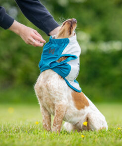Non-stop Dogwear Cooling pull-on vest - Image 6