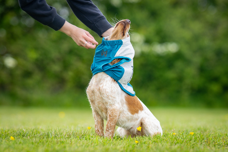 Non-stop Dogwear Cooling pull-on vest - Image 6