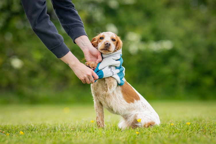 Non-stop Dogwear Cooling pull-on vest - Image 5