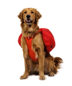 Ruffwear Palisades Pack kløv - Image 6