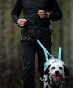 Non-stop Dogwear Canix Belt 3.0 - Image 6