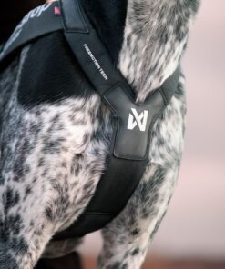 Freemotion Harness PRO - Image 9