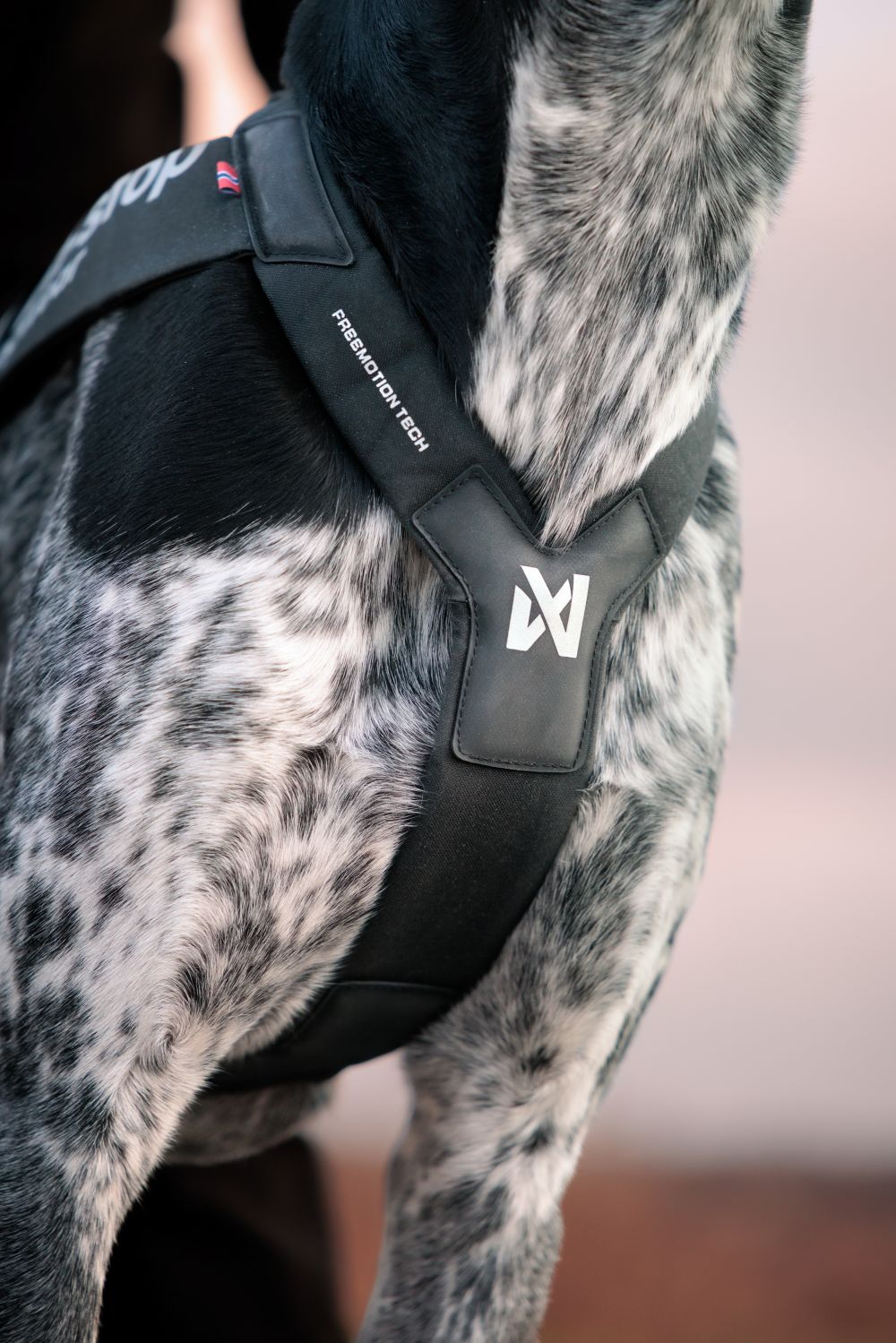 Freemotion Harness PRO - Image 9