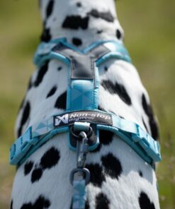 Non-stop Dogwear Line Harness CLIP'N™ - Image 8
