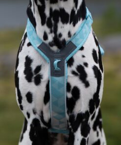 Non-stop Dogwear Line Harness CLIP'N™ - Image 10