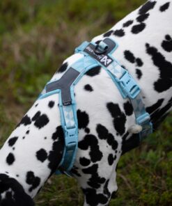 Non-stop Dogwear Line Harness CLIP'N™ - Image 9