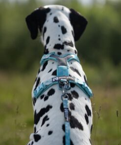 Alternative view of Non-stop Dogwear Line Harness CLIP'N™