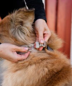 Non-stop Dogwear Line Harness CLIP'N™ - Image 6