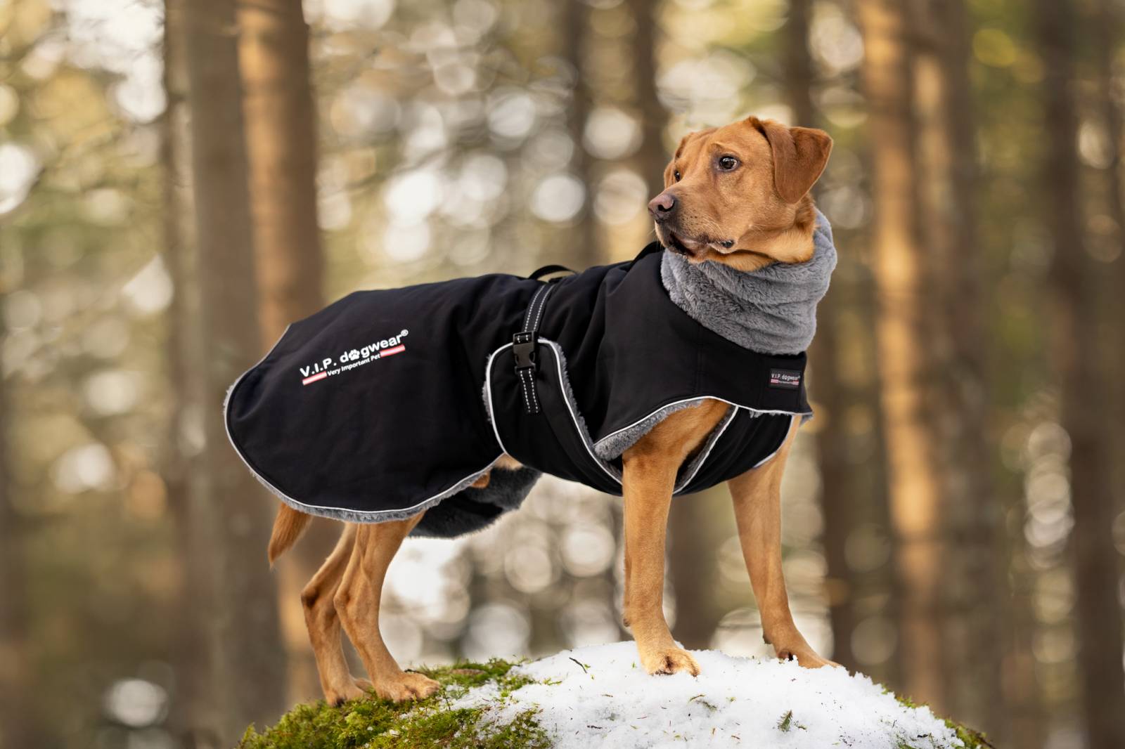 VIP Comfort Woolcover Softshell