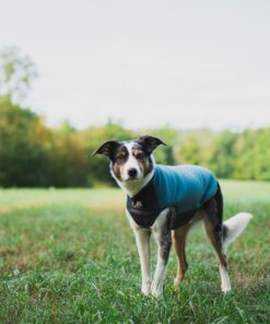 Non-stop dogwear Trail Quest Fleece Pullover - Image 12