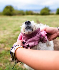 Non-stop dogwear Trail Quest Fleece Pullover - Image 6