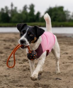 Alternative view of Non-stop dogwear Trail Quest Fleece Pullover